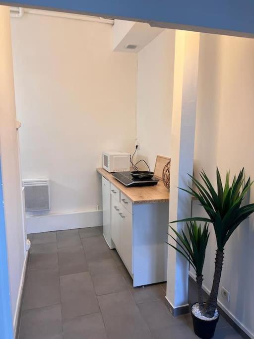 Appartement Idealement Situe Montereau-Fault-Yonne Eksteriør billede